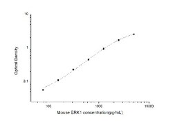 Novus Biologicals&trade;&nbsp;Mouse ERK1 ELISA Kit (Colorimetric)